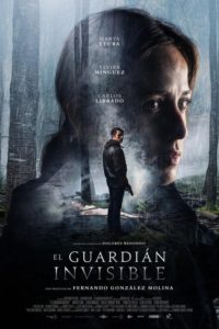 Nonton The Invisible Guardian 2017