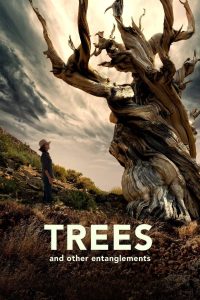 Nonton Trees and Other Entanglements 2023