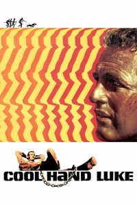 Nonton Cool Hand Luke 1967